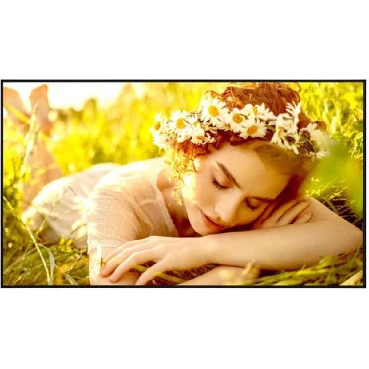 S55310296_0 S55310296_0